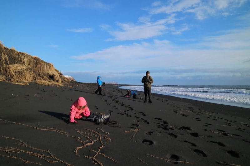 strand Vik rondreis ijsland