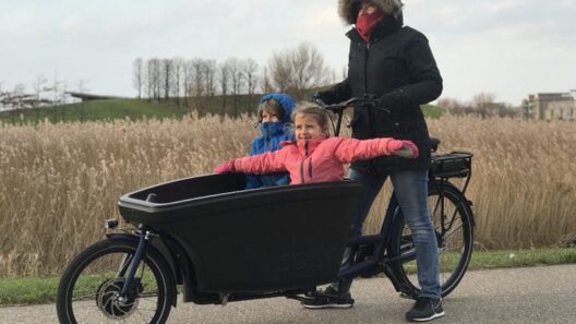 voordelen bakfiets