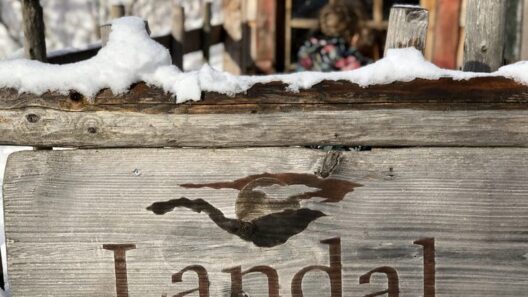 Landal winterberg