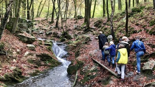 ardennen belgie