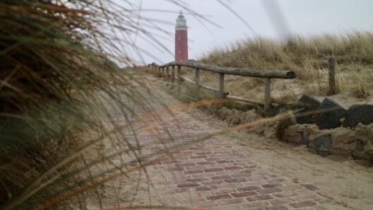 Texel winter