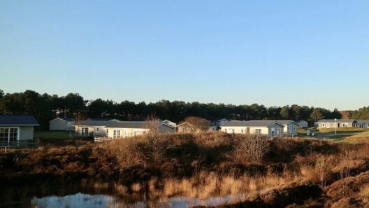 Camping loodsmanduin texel