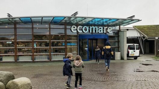 bezoek ecomare ingang