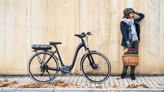 redenen elektrische fiets