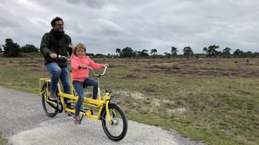 fietsen appelscha