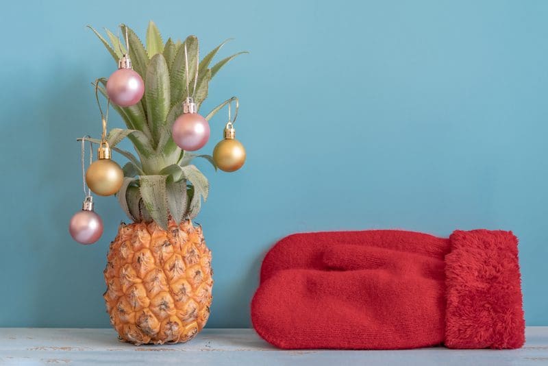 kerstboom ananas