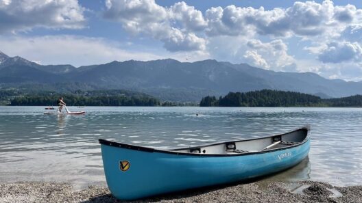 wat te doen faaker see