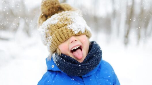 winter-activiteiten