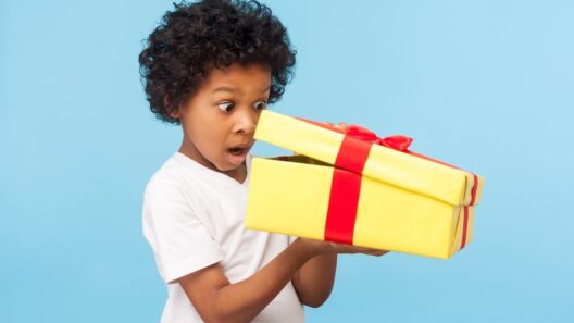 inspiratie cadeau kind
